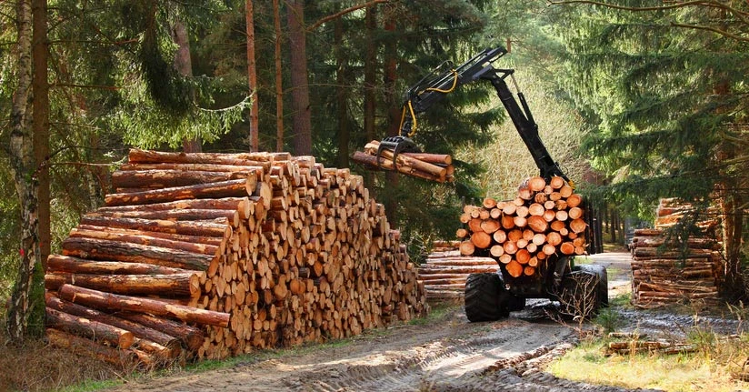 Forestry Products